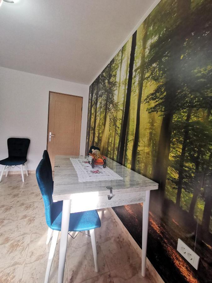 Apartamento Mister Guest Nehoiu Exterior foto